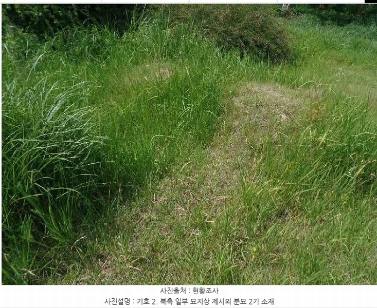 2025타경425 충청남도 논산시 은진면 용산리 163-6 농지 경매 이미지