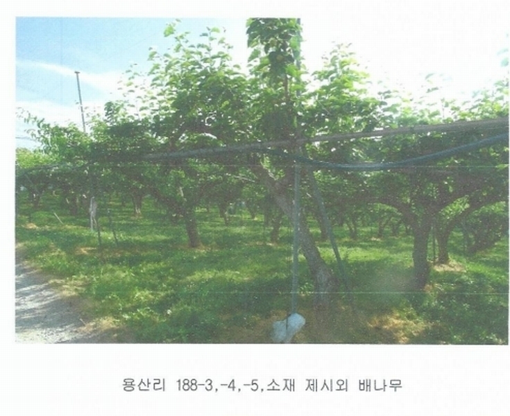 2025타경425 충청남도 논산시 은진면 용산리 163-6 농지 경매 이미지