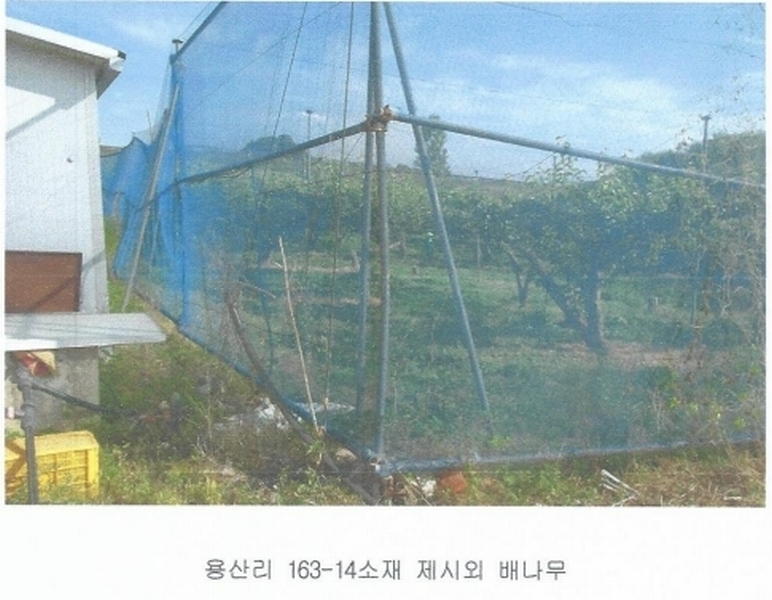 2025타경425 충청남도 논산시 은진면 용산리 163-6 농지 경매 이미지