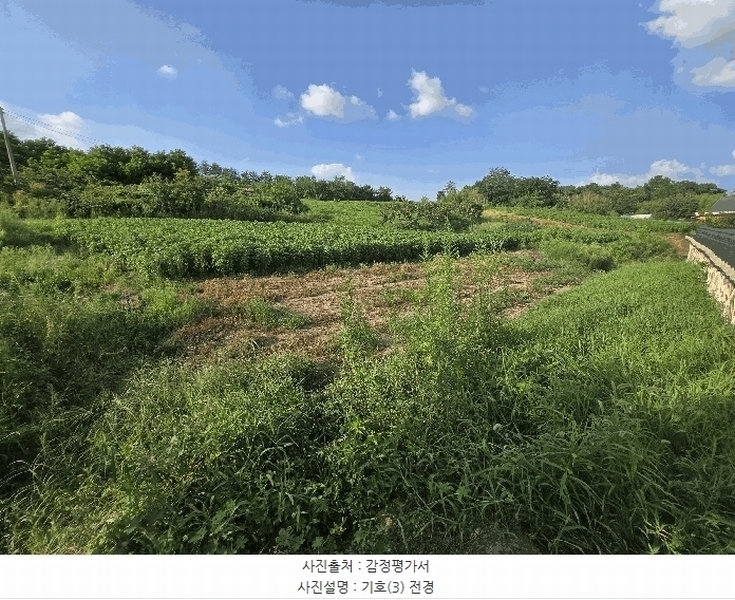 2025타경448 충청남도 부여군 석성면 석성리 651-8 농지 경매 이미지