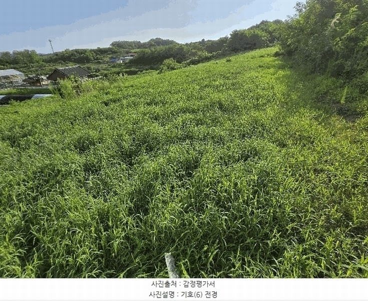 2025타경448 충청남도 부여군 석성면 석성리 651-8 농지 경매 이미지