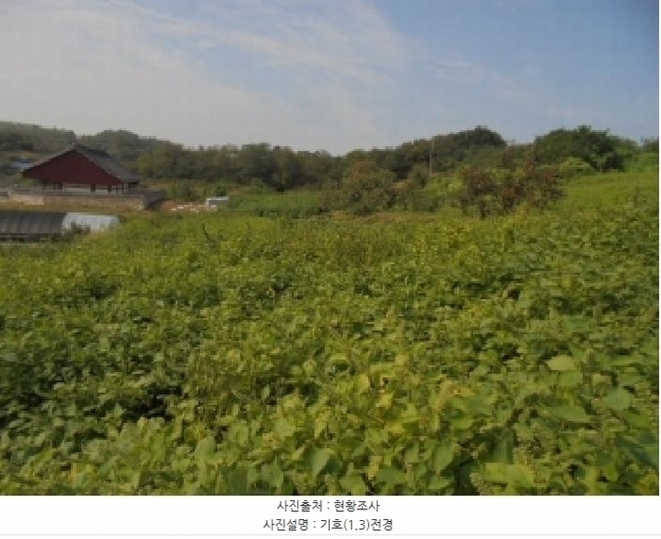 2025타경448 충청남도 부여군 석성면 석성리 651-8 농지 경매 이미지