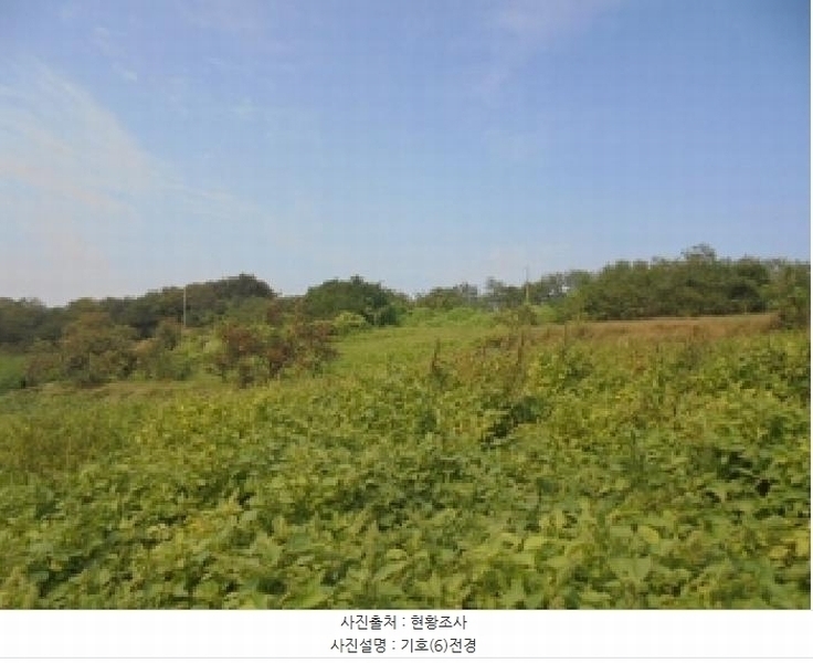 2025타경448 충청남도 부여군 석성면 석성리 651-8 농지 경매 이미지