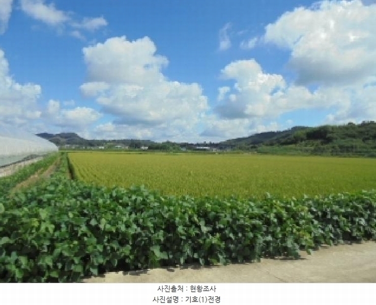 2025타경20455 충청남도 부여군 양화면 수원리 347-3 농지 경매 이미지