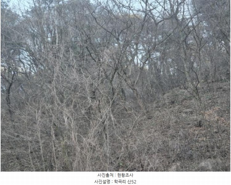 2024타경12079 경상북도 울진군 평해읍 학곡리 산52 임야 경매 이미지