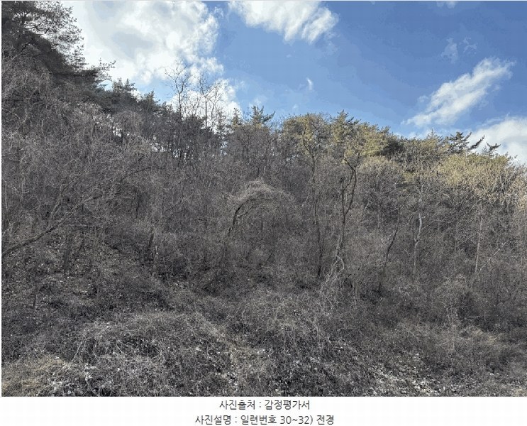 2024타경12079 경상북도 울진군 평해읍 학곡리 산52 임야 경매 이미지