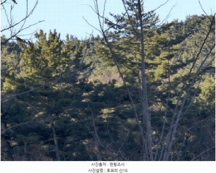 2024타경12079 경상북도 울진군 평해읍 학곡리 산52 임야 경매 이미지