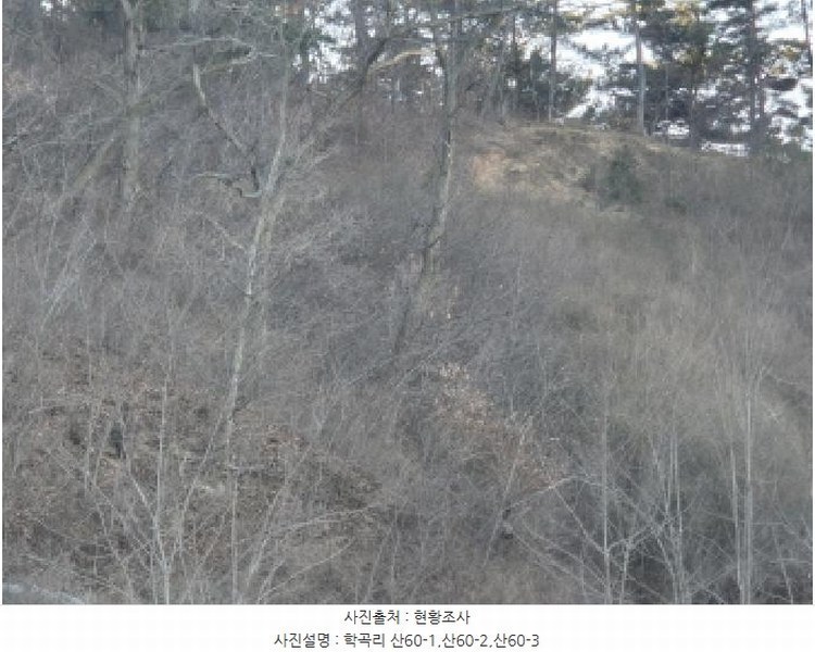 2024타경12079 경상북도 울진군 평해읍 학곡리 산52 임야 경매 이미지