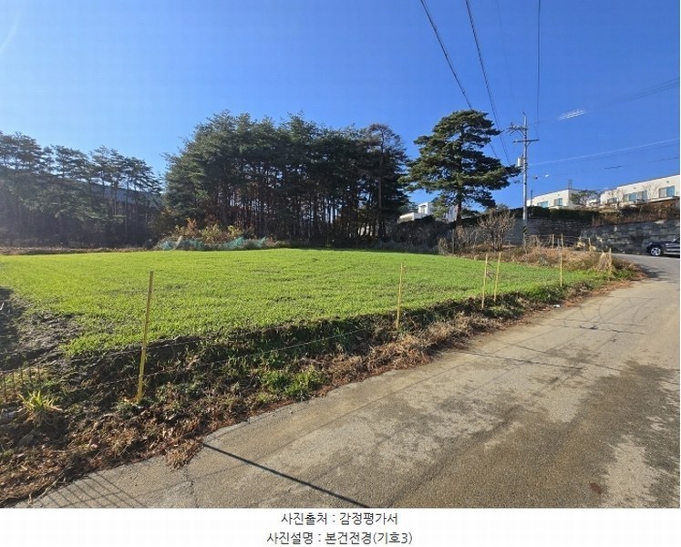 2024타경55275 강원특별자치도 강릉시 구정면 여찬리 산197 임야 경매 이미지