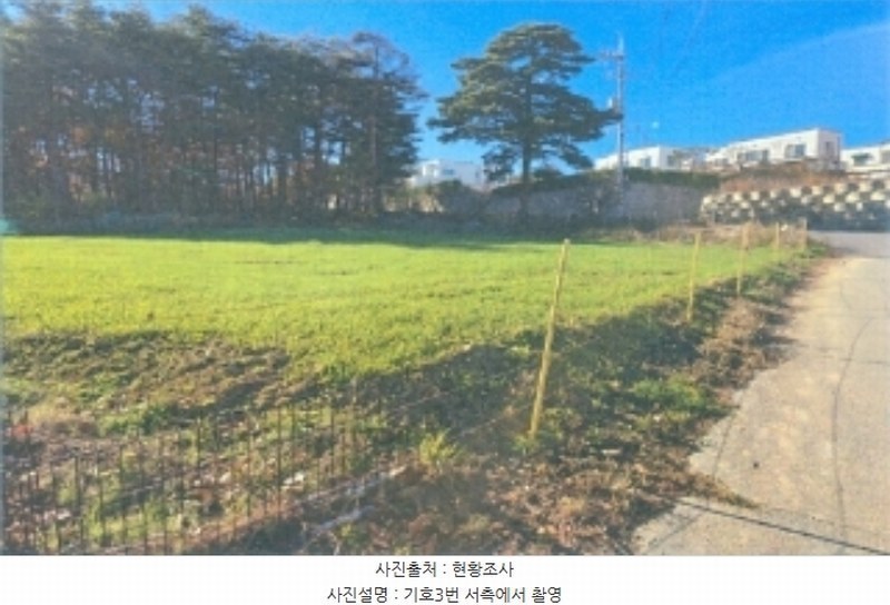 2024타경55275 강원특별자치도 강릉시 구정면 여찬리 산197 임야 경매 이미지