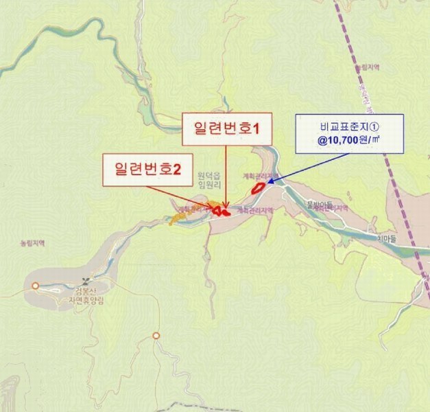 2025타경30522 강원특별자치도 삼척시 원덕읍 임원리 1119 농지 경매 이미지