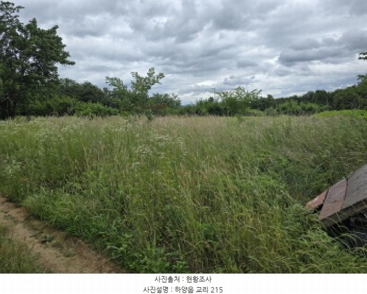 2025타경8222 경상북도 경산시 하양읍 교리 215 농지 경매 이미지