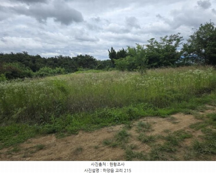 2025타경8222 경상북도 경산시 하양읍 교리 215 농지 경매 이미지