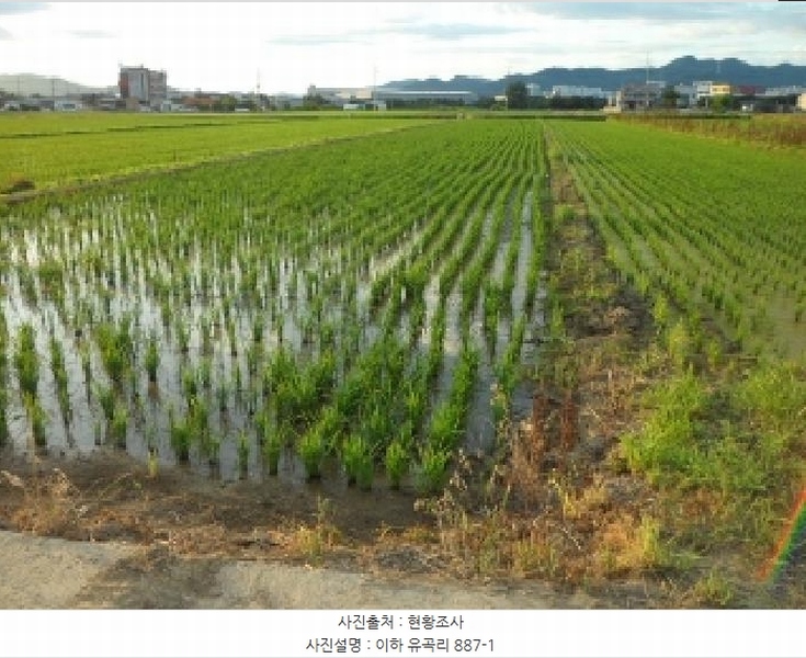 2025타경31397 대구광역시 달성군 유가읍 유곡리 887-1 농지 경매 이미지