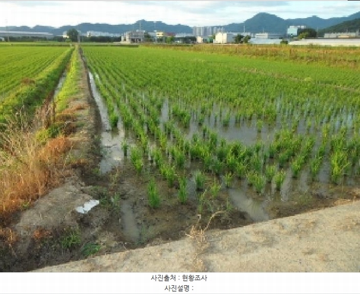 2025타경31397 대구광역시 달성군 유가읍 유곡리 887-1 농지 경매 이미지