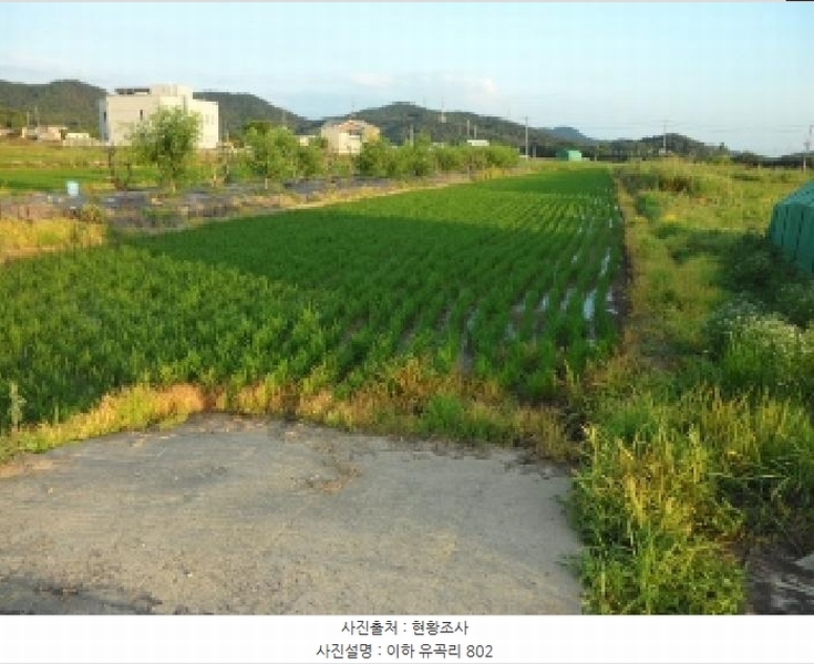 2025타경31397 대구광역시 달성군 유가읍 유곡리 802 농지 경매 이미지