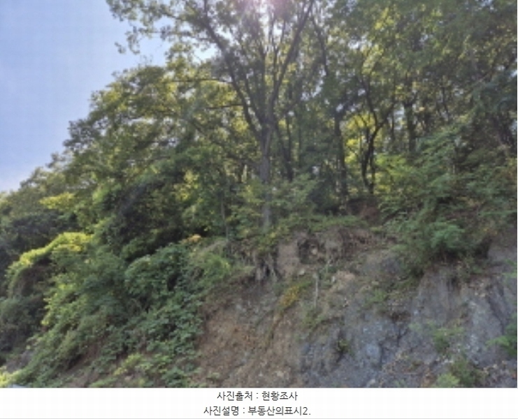 2024타경113204 울산광역시 북구 신현동 산182 임야 경매 이미지