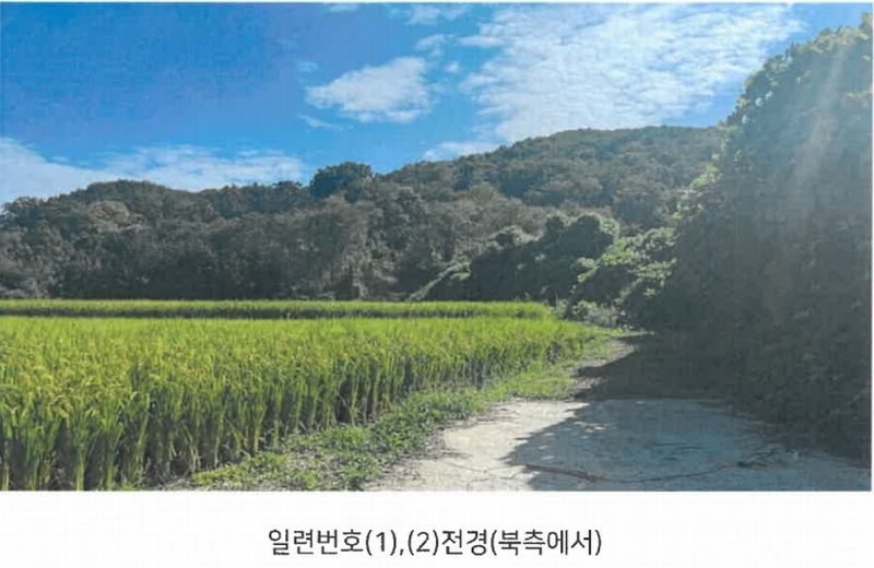 2024타경113204 울산광역시 북구 신현동 산182 임야 경매 이미지