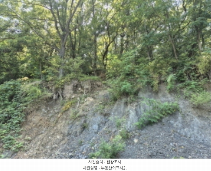 2024타경113204 울산광역시 북구 신현동 산182 임야 경매 이미지