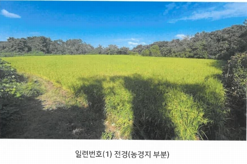 2024타경113204 울산광역시 북구 신현동 산182 임야 경매 이미지