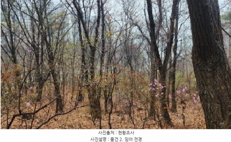 2025타경100874 경기도 과천시 막계동 1011-3 임야 경매 이미지