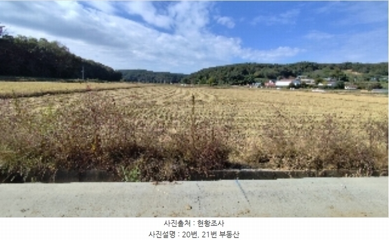 2024타경20921 충청남도 보령시 천북면 신죽리 624-3 농지 경매 이미지