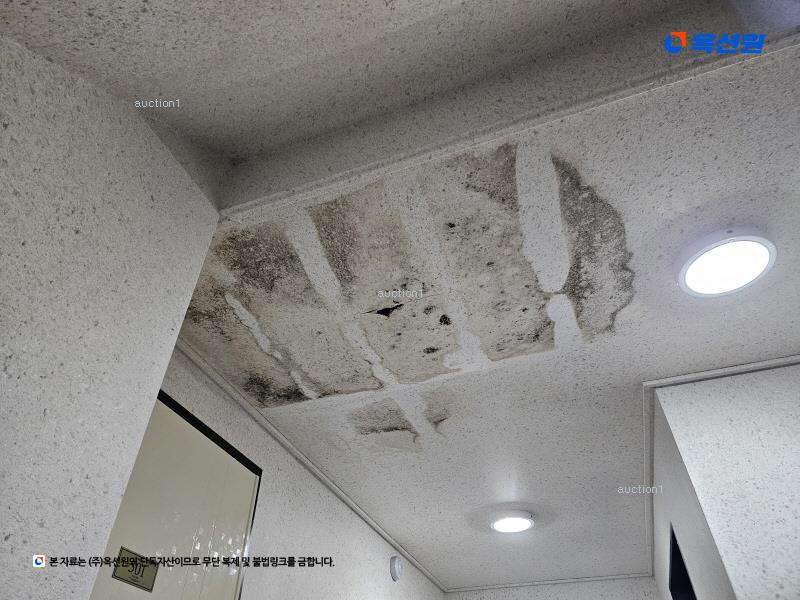 2025타경7233 서울특별시 강서구 월정로28가길 19-20, 쥬뜨브캐슬2차 5층 502호 다세대(빌라) 경매 이미지