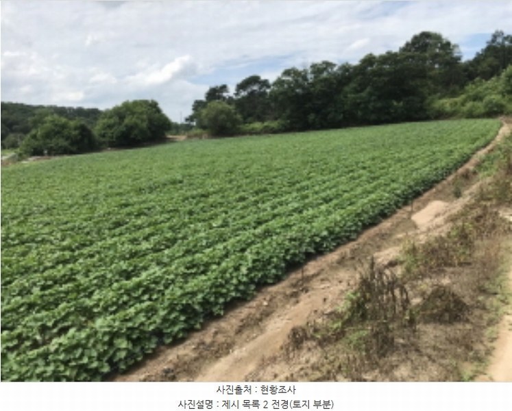 2021타경2931 경기도 여주시 대신면 상구리 22 농지 경매 이미지