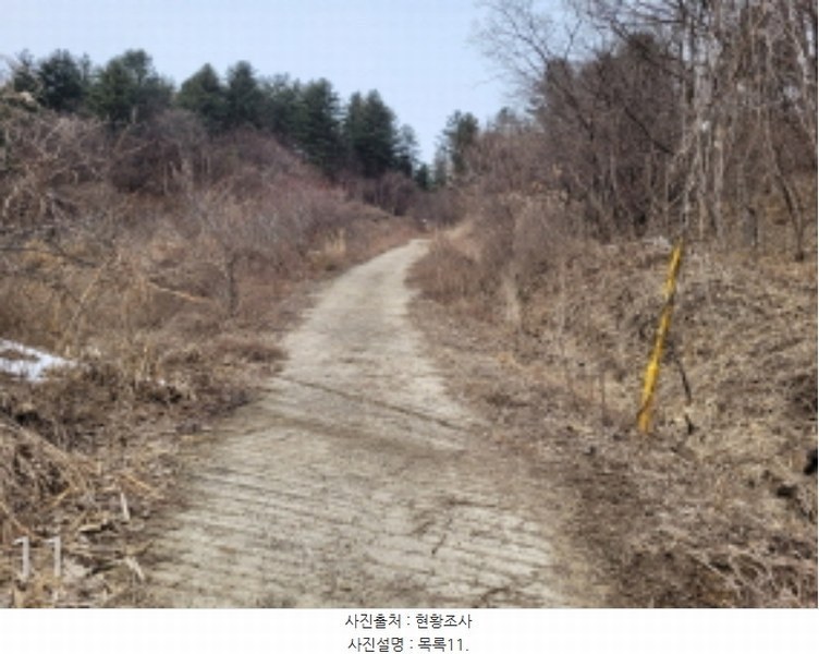 2024타경226 경기도 양평군 단월면 명성리 산166-7 임야 경매 이미지