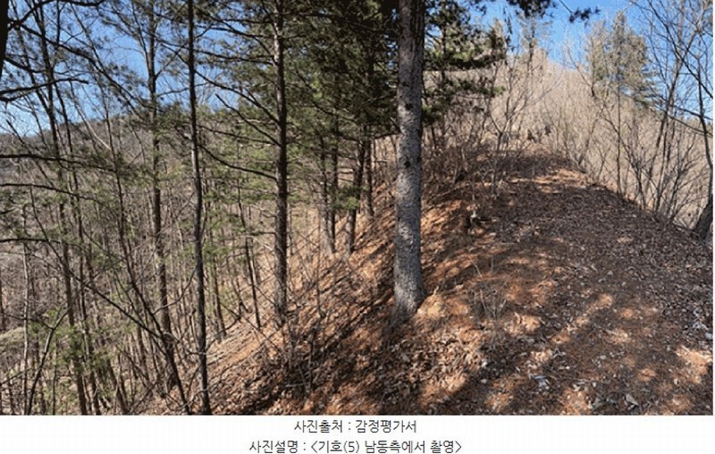 2024타경226 경기도 양평군 단월면 명성리 산166-7 임야 경매 이미지