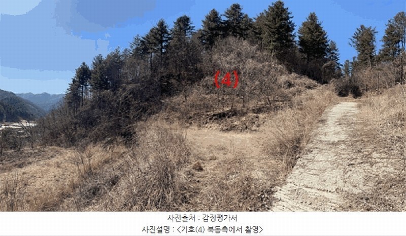 2024타경226 경기도 양평군 단월면 명성리 산166-7 임야 경매 이미지