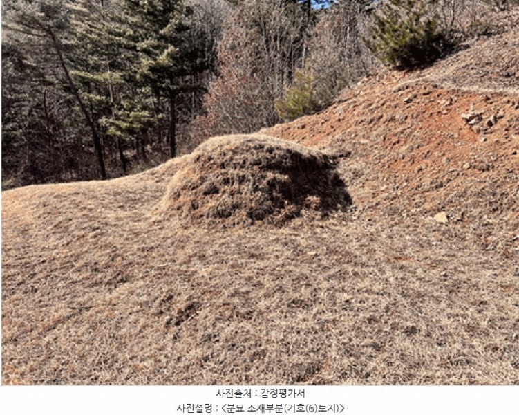2024타경226 경기도 양평군 단월면 명성리 산166-7 임야 경매 이미지