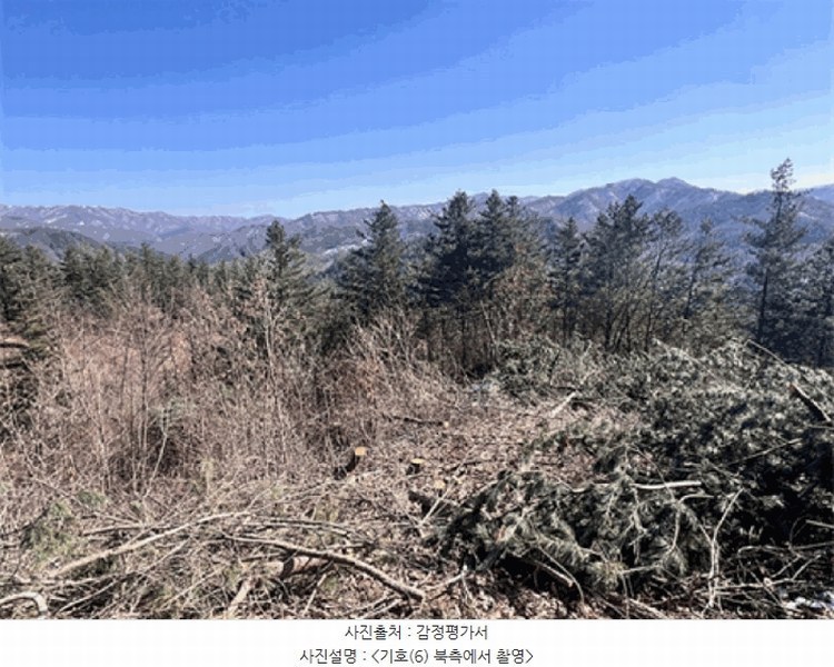 2024타경226 경기도 양평군 단월면 명성리 산166-7 임야 경매 이미지