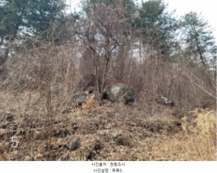 2024타경226 경기도 양평군 단월면 명성리 산166-7 임야 경매 이미지