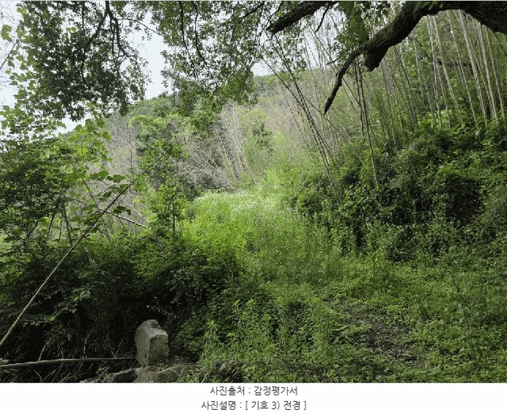 2025타경8309 경상북도 칠곡군 기산면 각산리 419 임야 경매 이미지