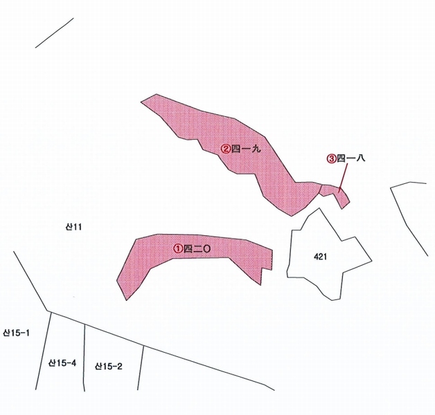 2025타경8309 경상북도 칠곡군 기산면 각산리 419 임야 경매 이미지