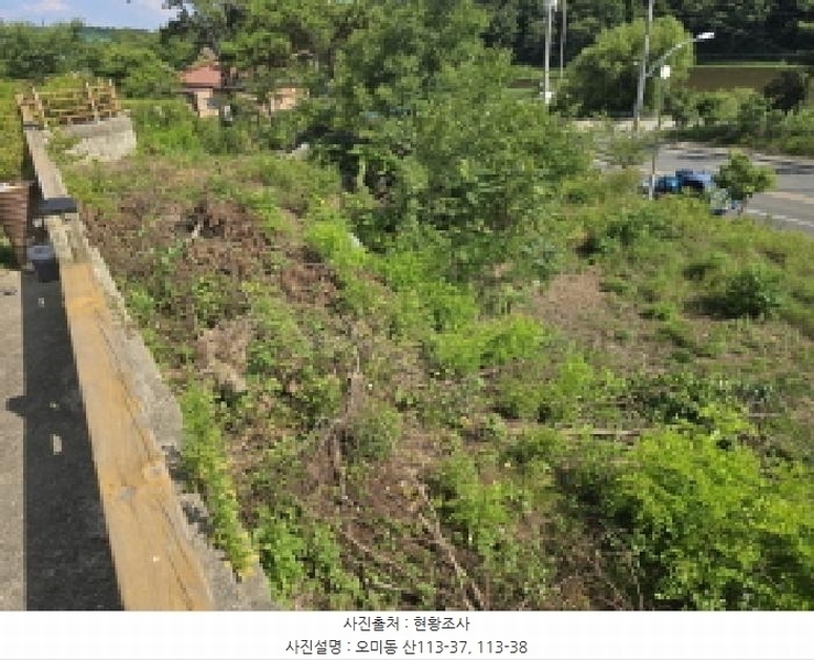 2025타경8526 경상북도 영천시 오미동 산113-37 근린시설 경매 이미지