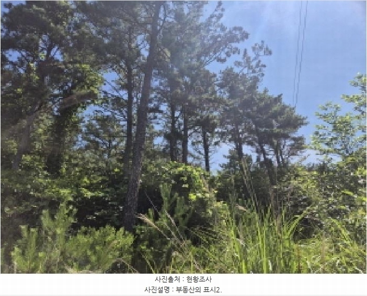2025타경11926 울산광역시 울주군 서생면 화산리 산62-9 임야 경매 이미지
