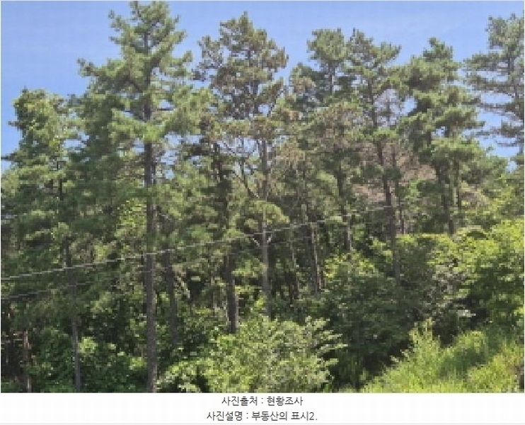 2025타경11926 울산광역시 울주군 서생면 화산리 산62-9 임야 경매 이미지