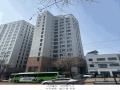 2025타경8528 서울특별시 강서구 등촌로 81, 더자하 5층 501호 오피스텔 경매 이미지
