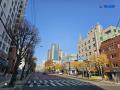 2025타경8528 서울특별시 강서구 등촌로 81, 더자하 5층 501호 오피스텔 경매 이미지