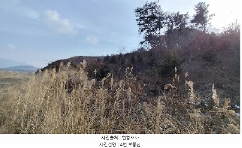 2025타경252 충청남도 보령시 내항동 산59-7 임야 경매 이미지