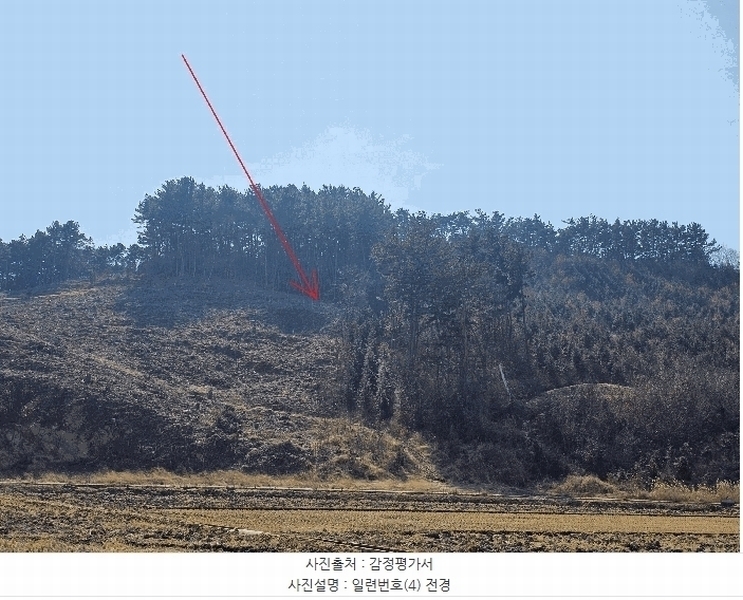 2025타경252 충청남도 보령시 내항동 산59-7 임야 경매 이미지