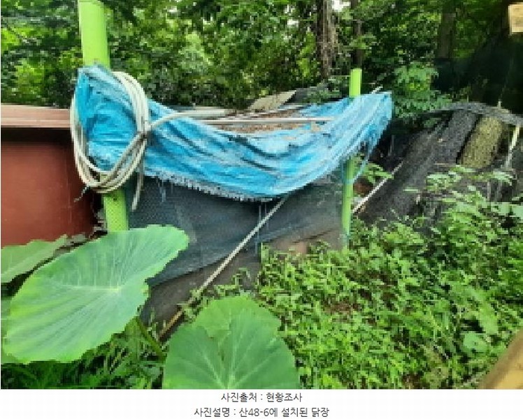 2025타경617 서울특별시 강서구 등촌동 산48-6 임야 경매 이미지