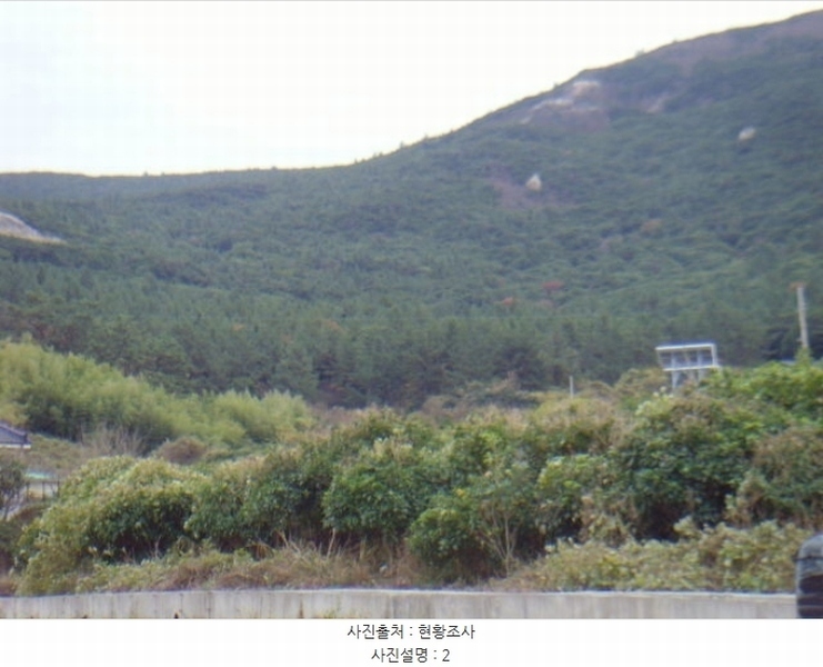 2024타경55184 전라남도 완도군 보길면 정자리 산75-2 임야 경매 이미지