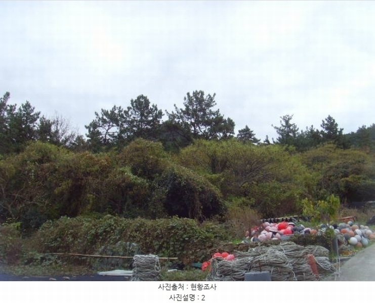 2024타경55184 전라남도 완도군 보길면 정자리 산75-2 임야 경매 이미지