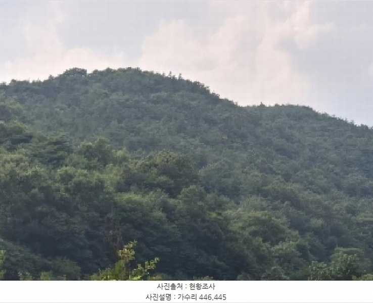 2025타경33468 전라남도 화순군 동복면 가수리 445 농지 경매 이미지