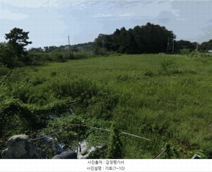 2025타경53116 경기도 안산시 단원구 대부남동 46 농지 경매 이미지