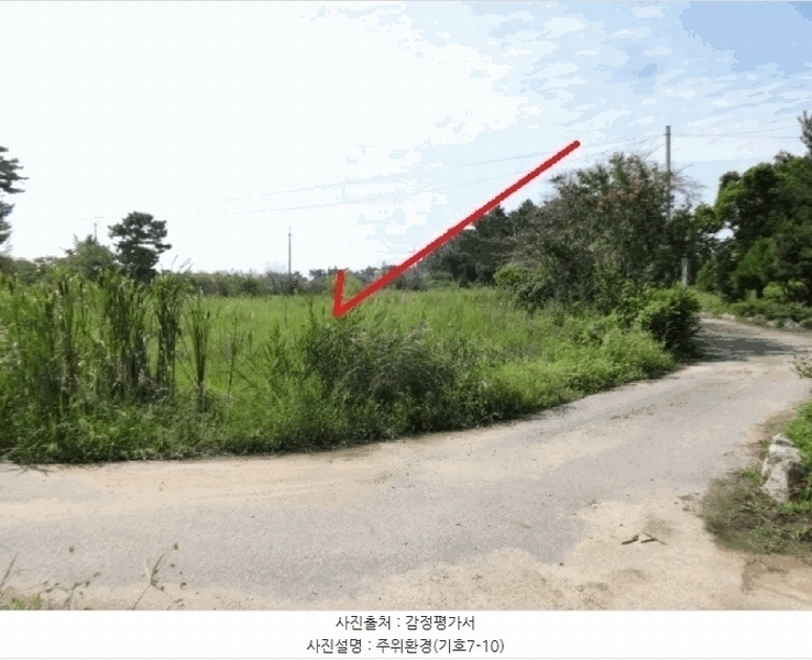 2025타경53116 경기도 안산시 단원구 대부남동 46 농지 경매 이미지