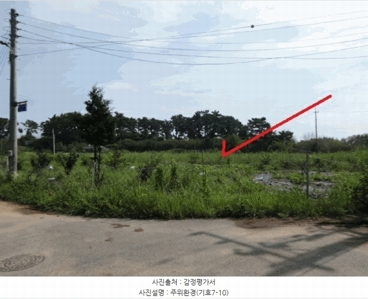 2025타경53116 경기도 안산시 단원구 대부남동 46 농지 경매 이미지